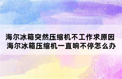 海尔冰箱突然压缩机不工作求原因 海尔冰箱压缩机一直响不停怎么办